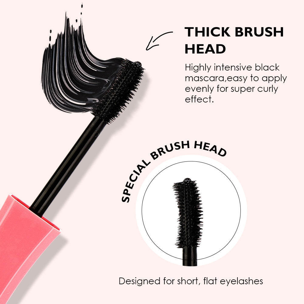 Trendify Aura's Complete Eye Duo (Bundle)